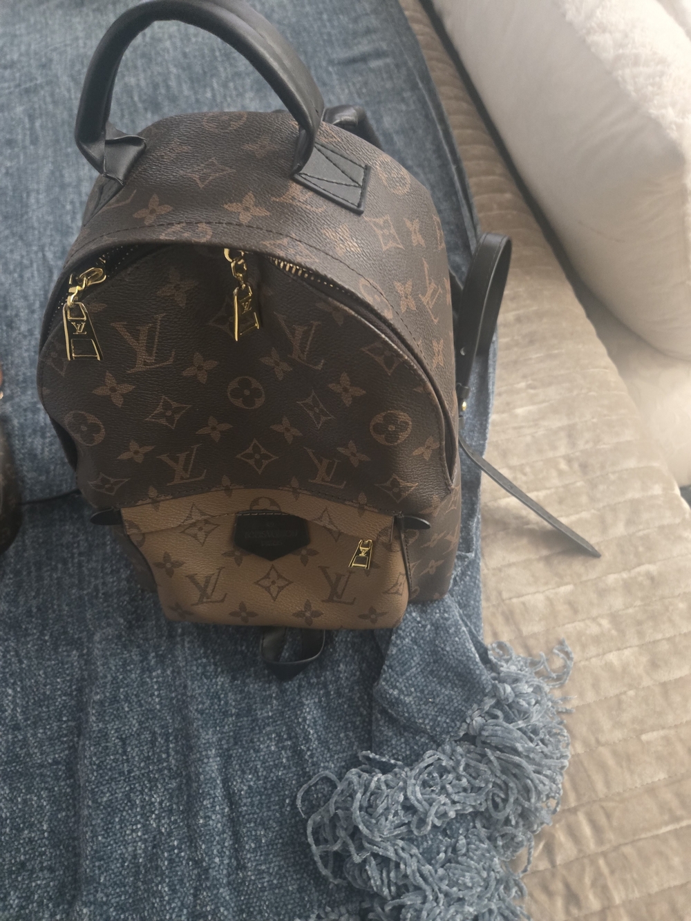 Luxury Monogram Mini Backpack in Brown